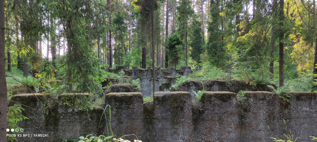 Plebiscyt Śląsk niezwykły. Nadesłane zdjęcia