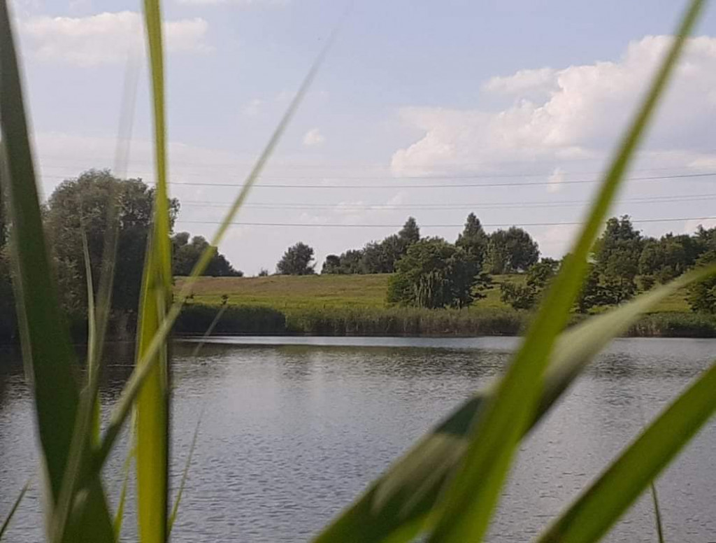 Plebiscyt Śląsk niezwykły. Nadesłane zdjęcia