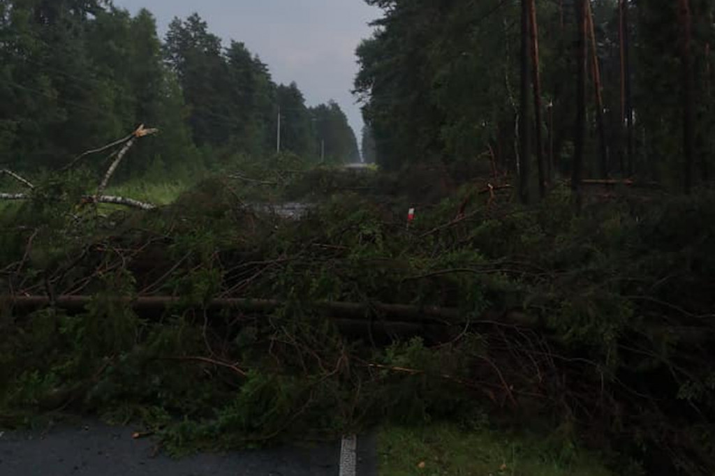 Burza i silny wiatr. Nawałnice nad regionem