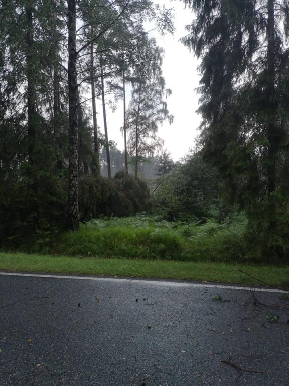 Burza i silny wiatr. Nawałnice nad regionem