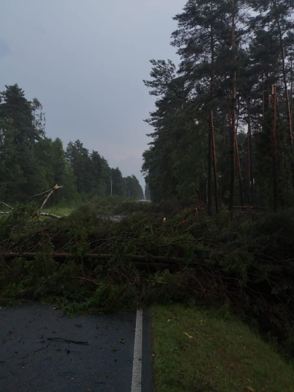 Burza i silny wiatr. Nawałnice nad regionem