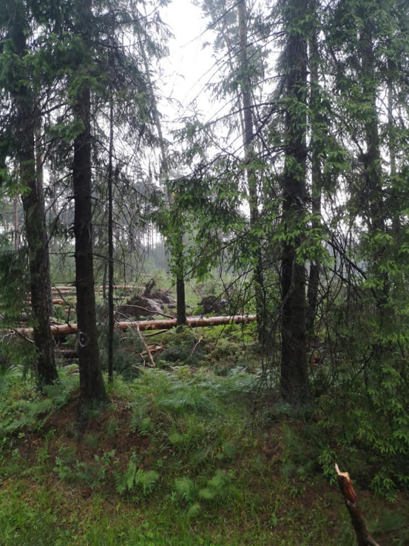 Burza i silny wiatr. Nawałnice nad regionem