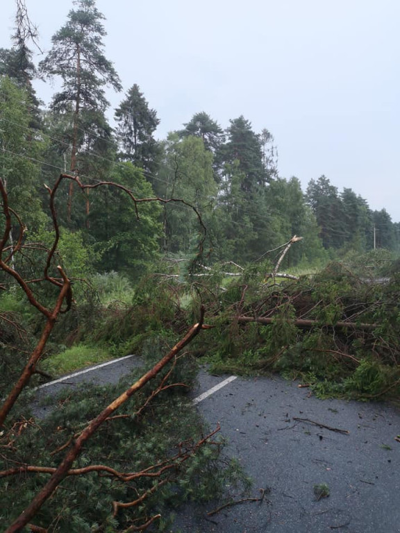 Burza i silny wiatr. Nawałnice nad regionem