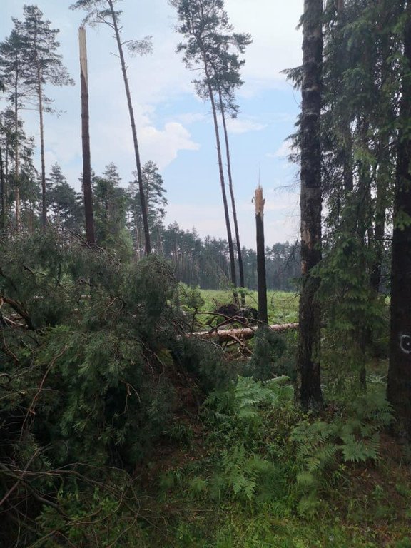 Burza i silny wiatr. Nawałnice nad regionem