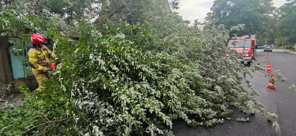 Burza i silny wiatr. Nawałnice nad regionem