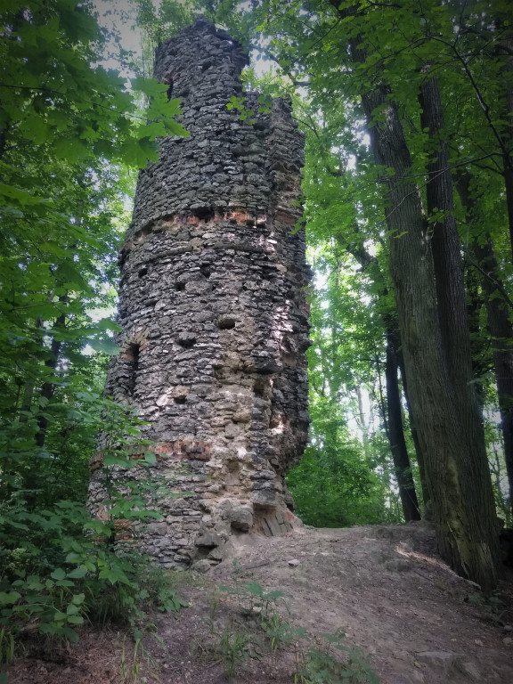 Śląsk niezwykły. Nagrodzone zdjęcia