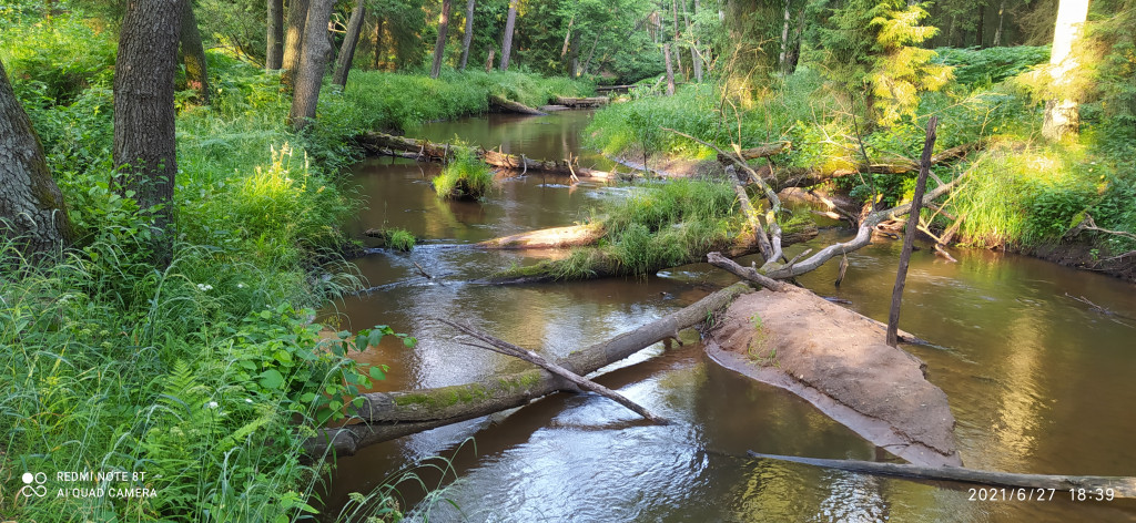 Śląsk niezwykły. Nagrodzone zdjęcia