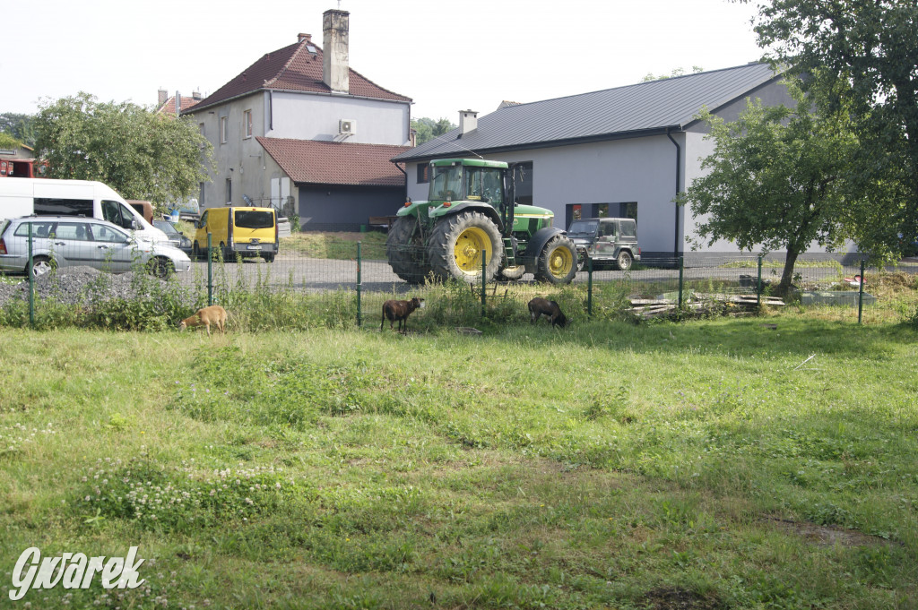 Tak wygląda budowa mostu w Zbrosławicach