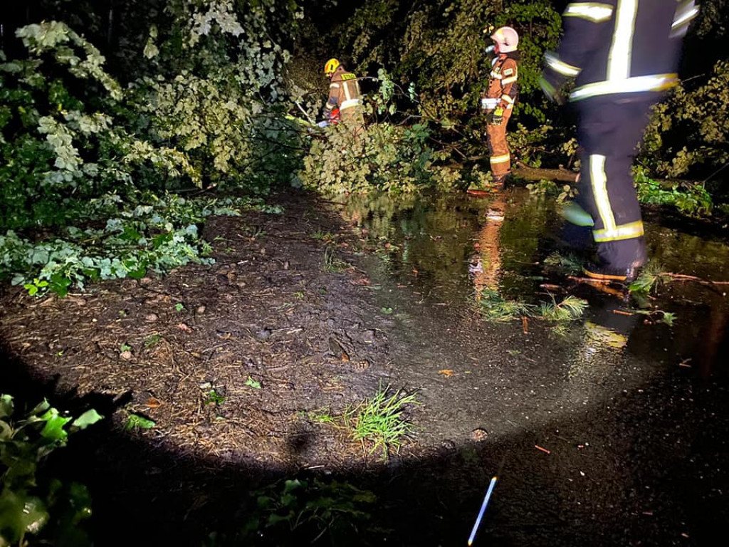 Powalone drzewa, zerwane dachy - burza przeszła przez powiat