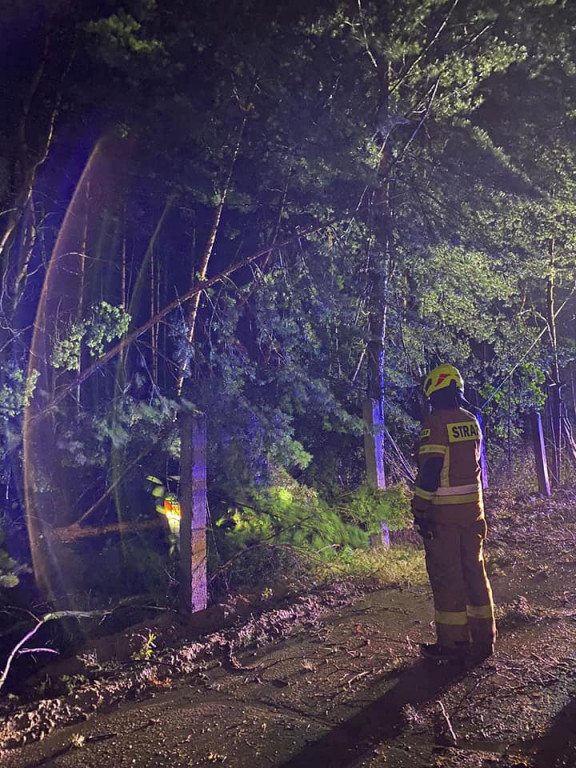 Powalone drzewa, zerwane dachy - burza przeszła przez powiat