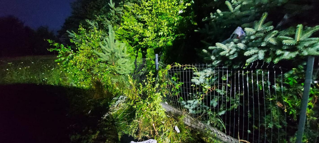 Powalone drzewa, zerwane dachy - burza przeszła przez powiat