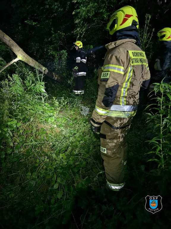 Powalone drzewa, zerwane dachy - burza przeszła przez powiat