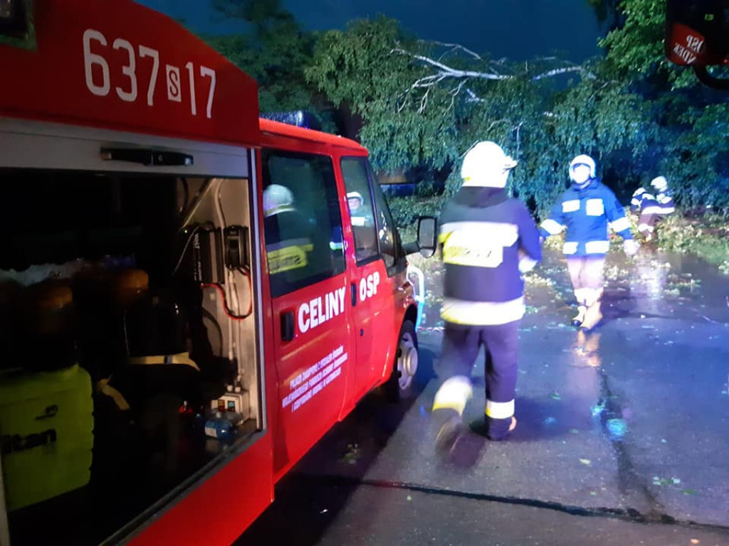 Powalone drzewa, zerwane dachy - burza przeszła przez powiat