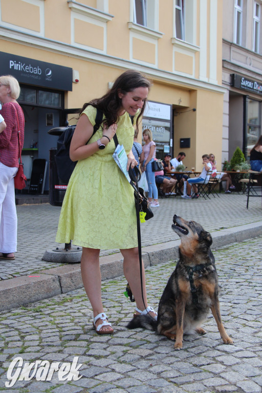 Politycy opozycji w Tarnowskich Górach