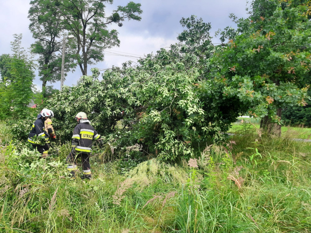 Burzowo: zalane ulice, piwnice, powalone drzewa