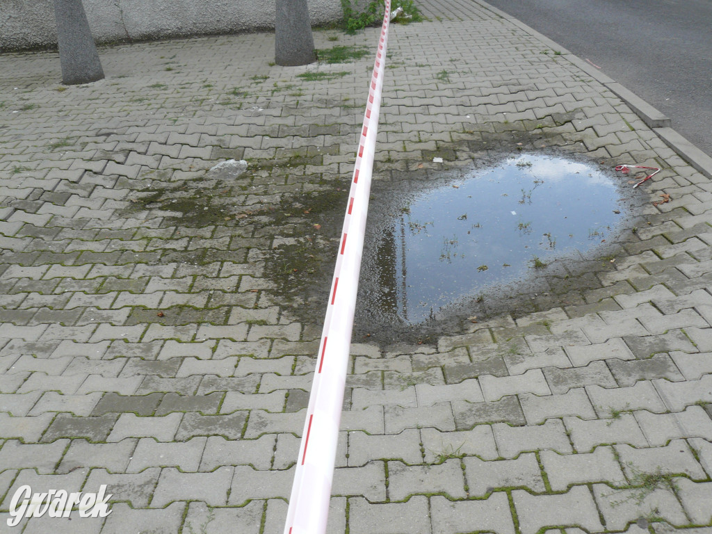 Zapadliska w rejonie ul. Dolnej i T. Królika