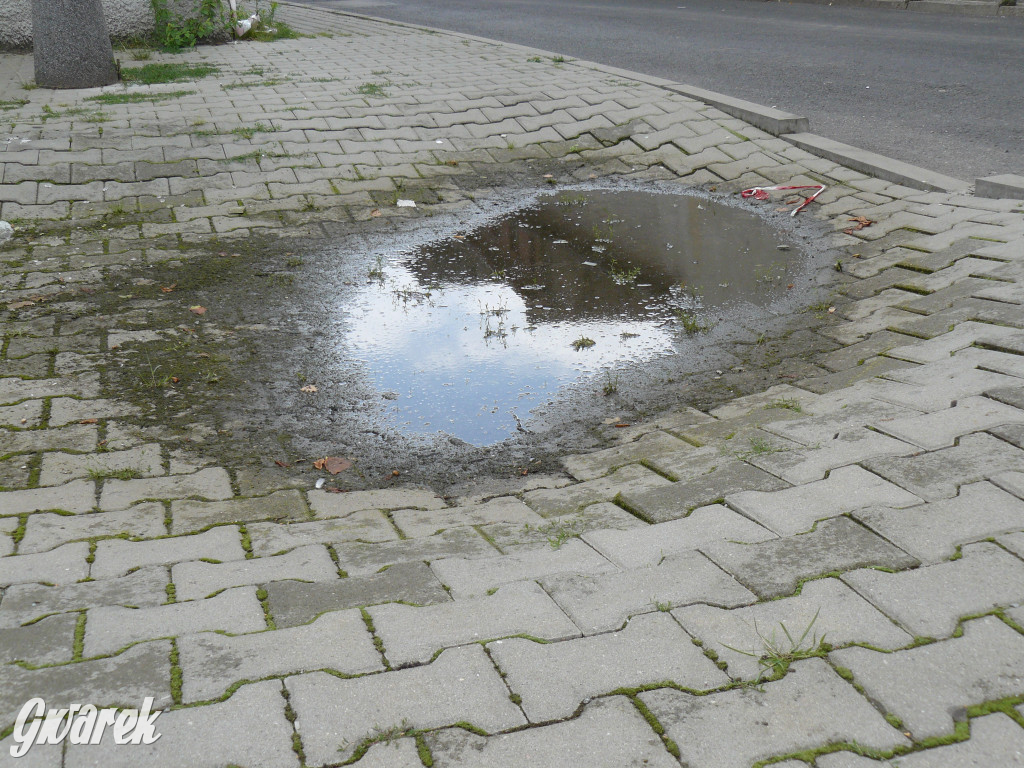 Zapadliska w rejonie ul. Dolnej i T. Królika