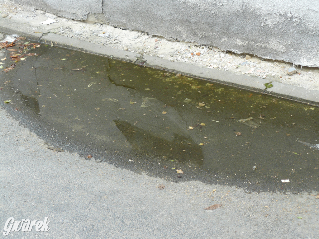 Zapadliska w rejonie ul. Dolnej i T. Królika