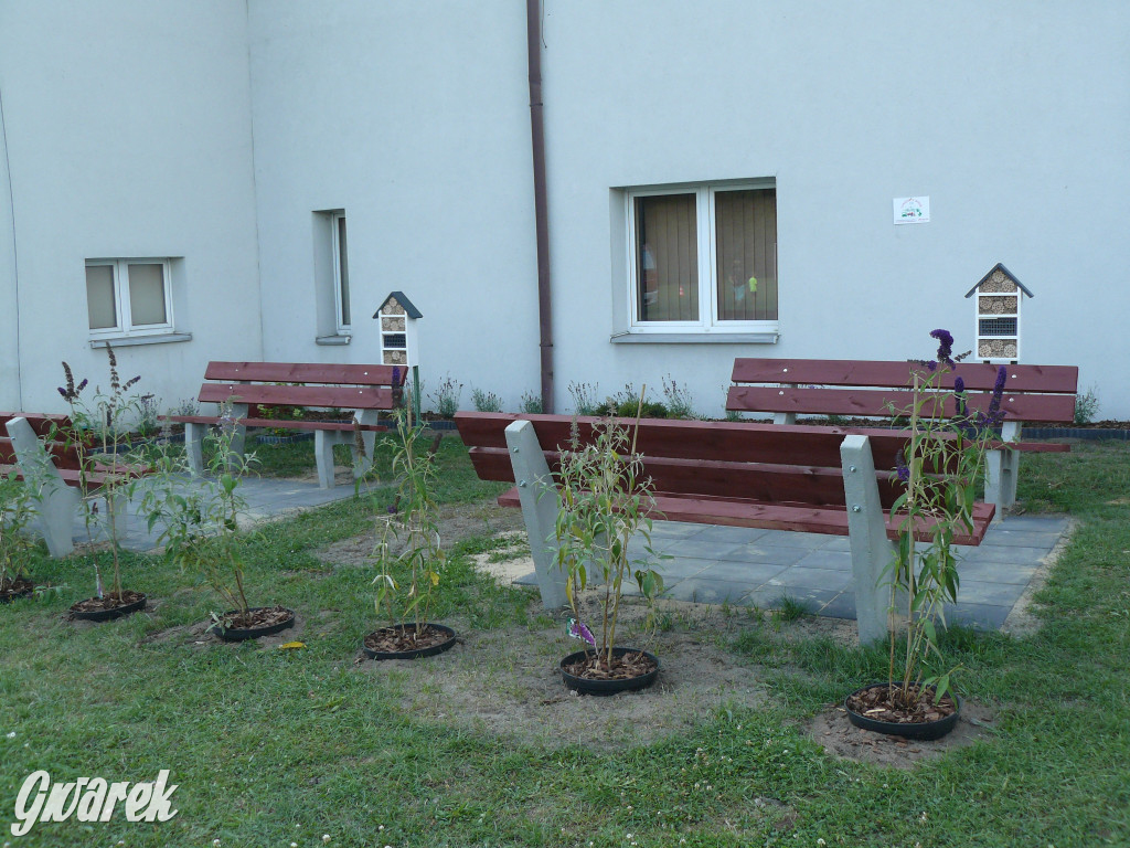 Piknik w Ossach. Działo się!