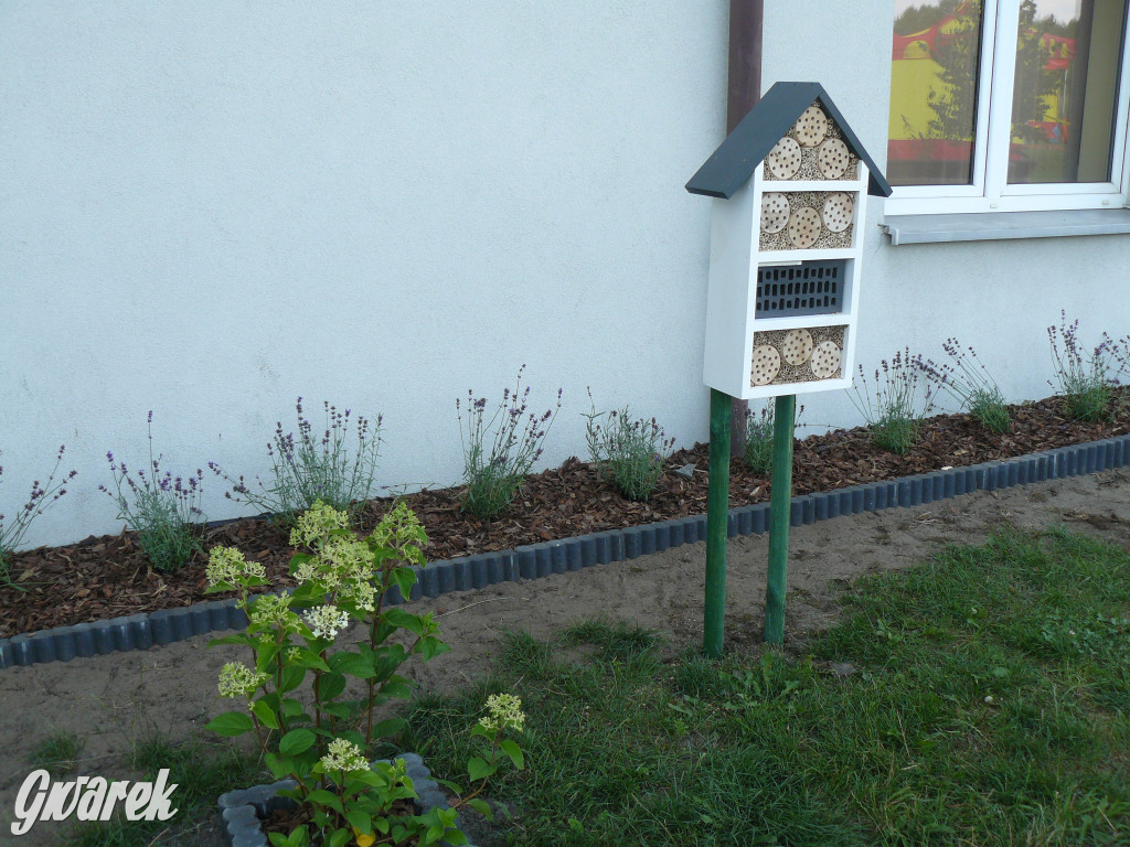 Piknik w Ossach. Działo się!