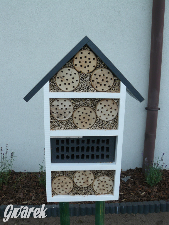 Piknik w Ossach. Działo się!