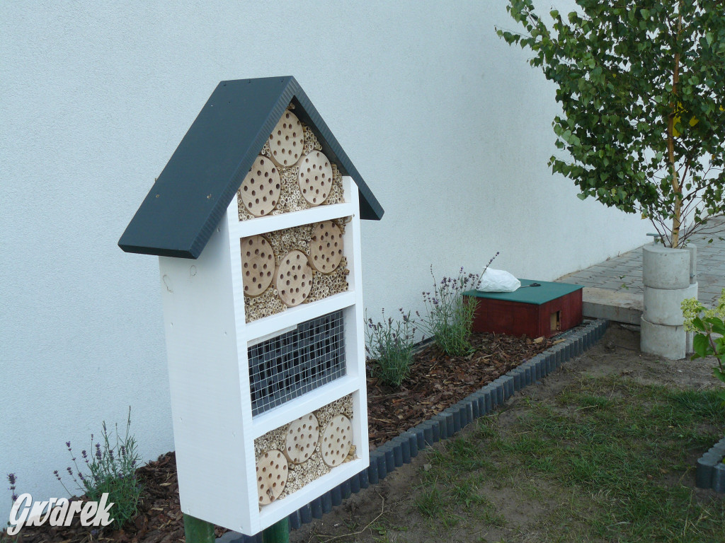 Piknik w Ossach. Działo się!