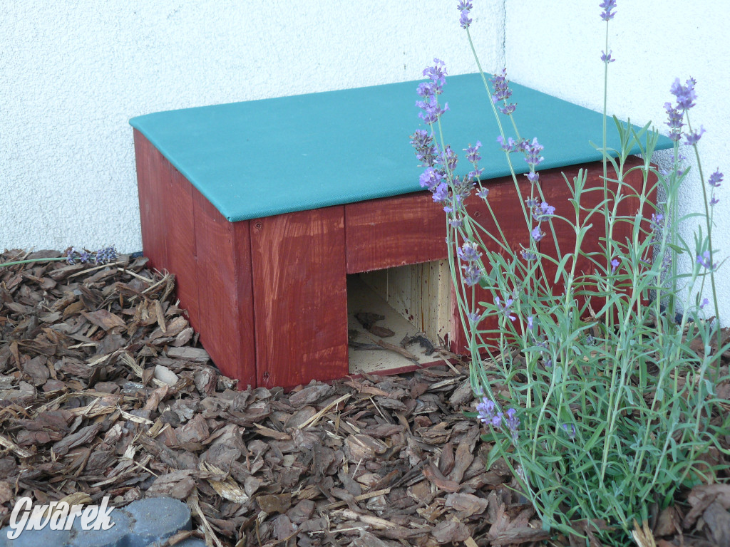 Piknik w Ossach. Działo się!