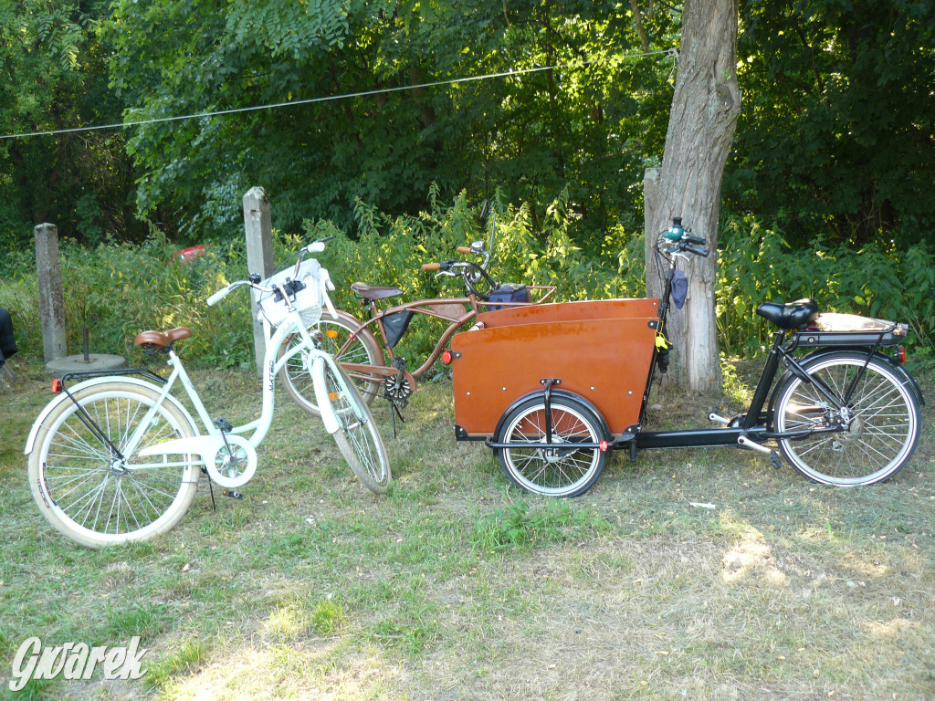 Dzień Pszczoły w Bibieli