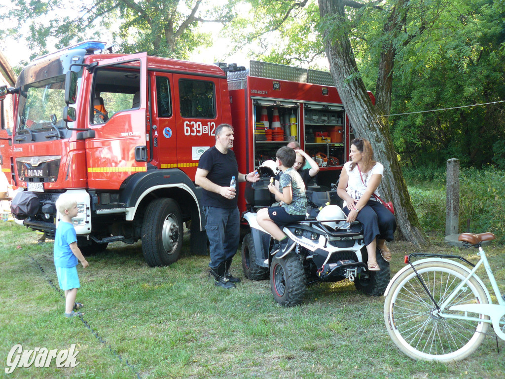 Dzień Pszczoły w Bibieli
