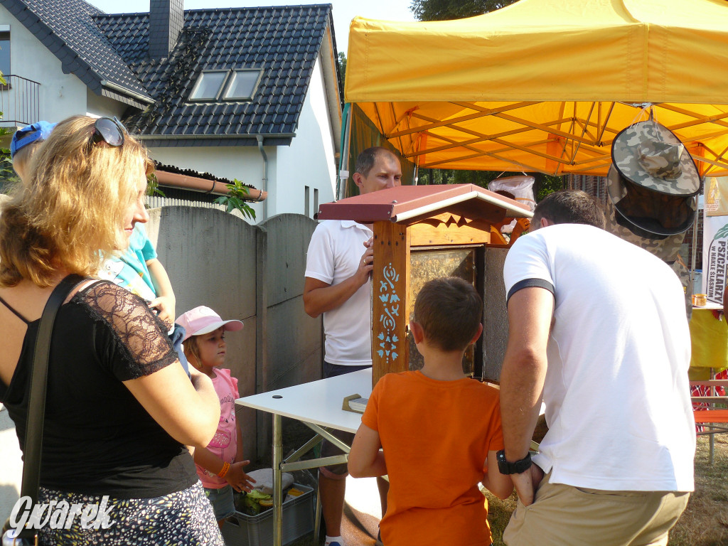 Dzień Pszczoły w Bibieli