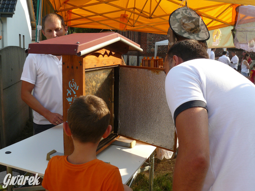 Dzień Pszczoły w Bibieli