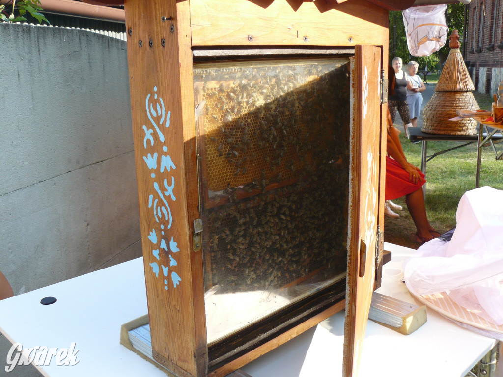 Dzień Pszczoły w Bibieli