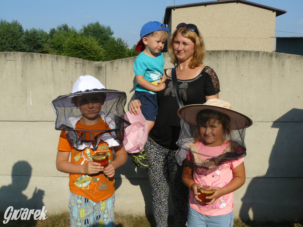 Dzień Pszczoły w Bibieli