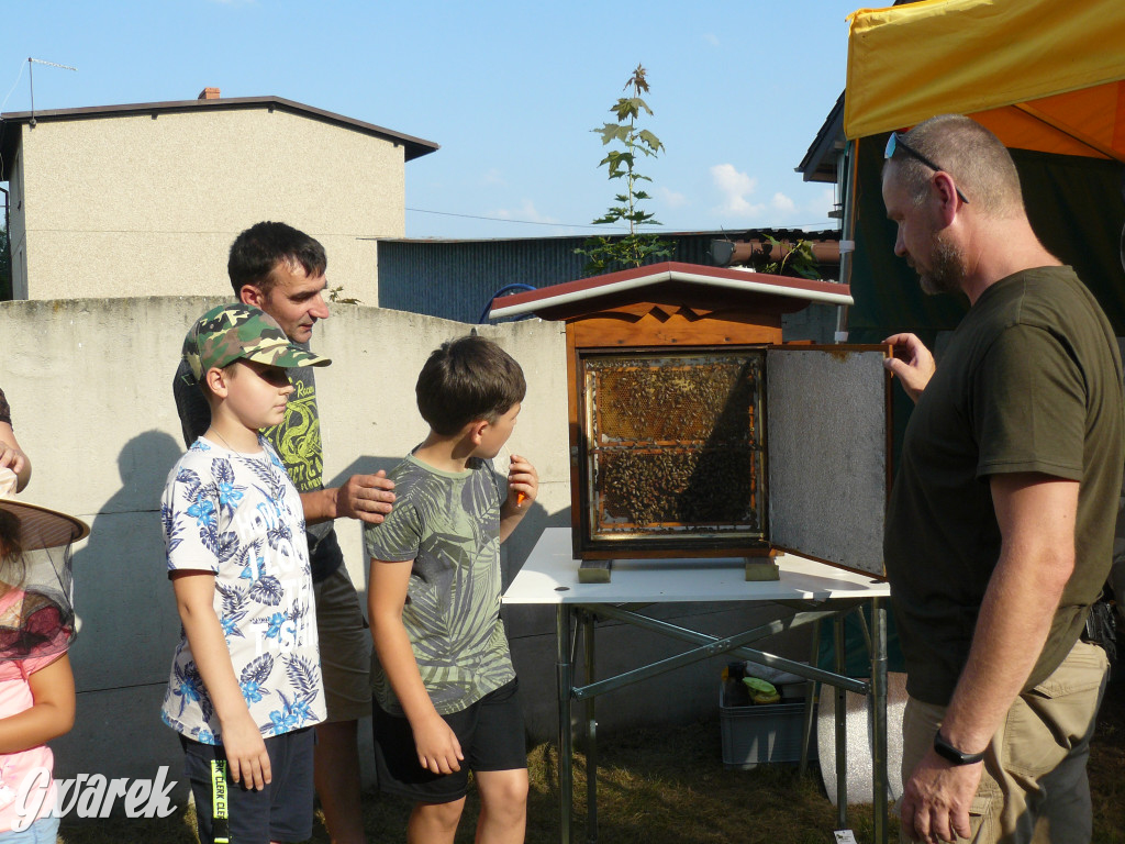 Dzień Pszczoły w Bibieli