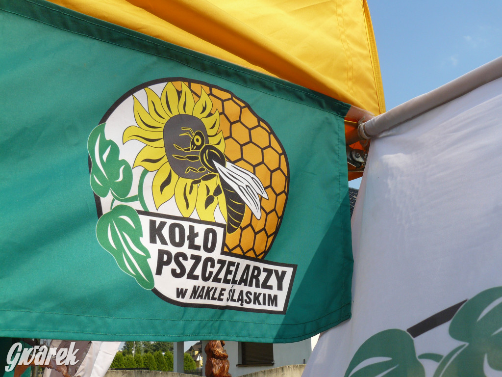 Dzień Pszczoły w Bibieli