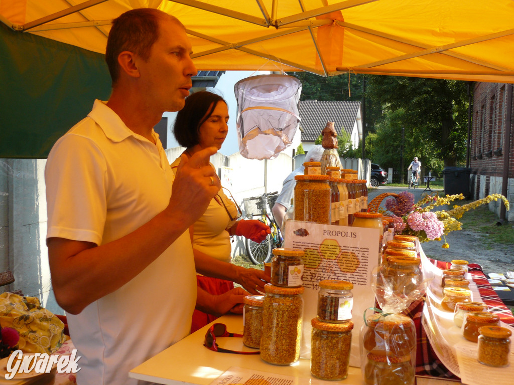 Dzień Pszczoły w Bibieli
