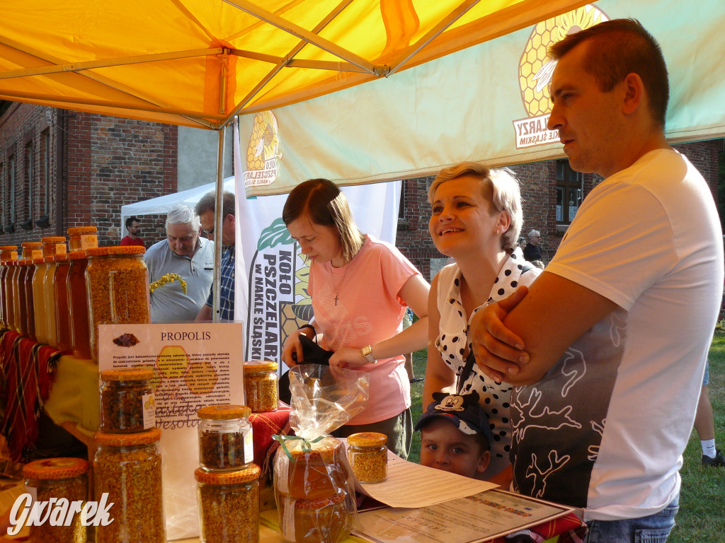 Dzień Pszczoły w Bibieli