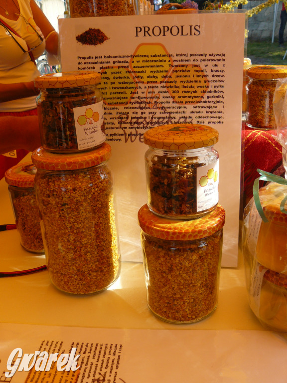 Dzień Pszczoły w Bibieli