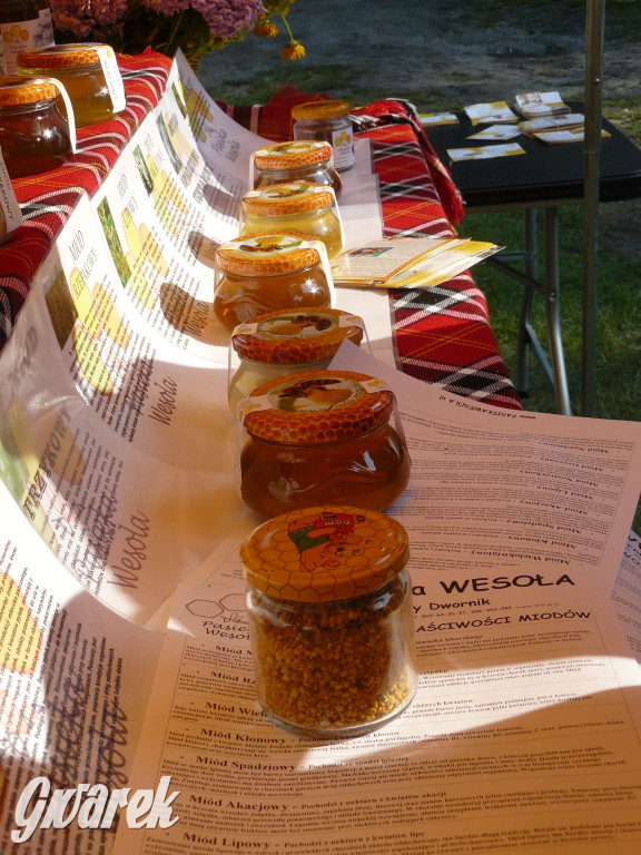 Dzień Pszczoły w Bibieli