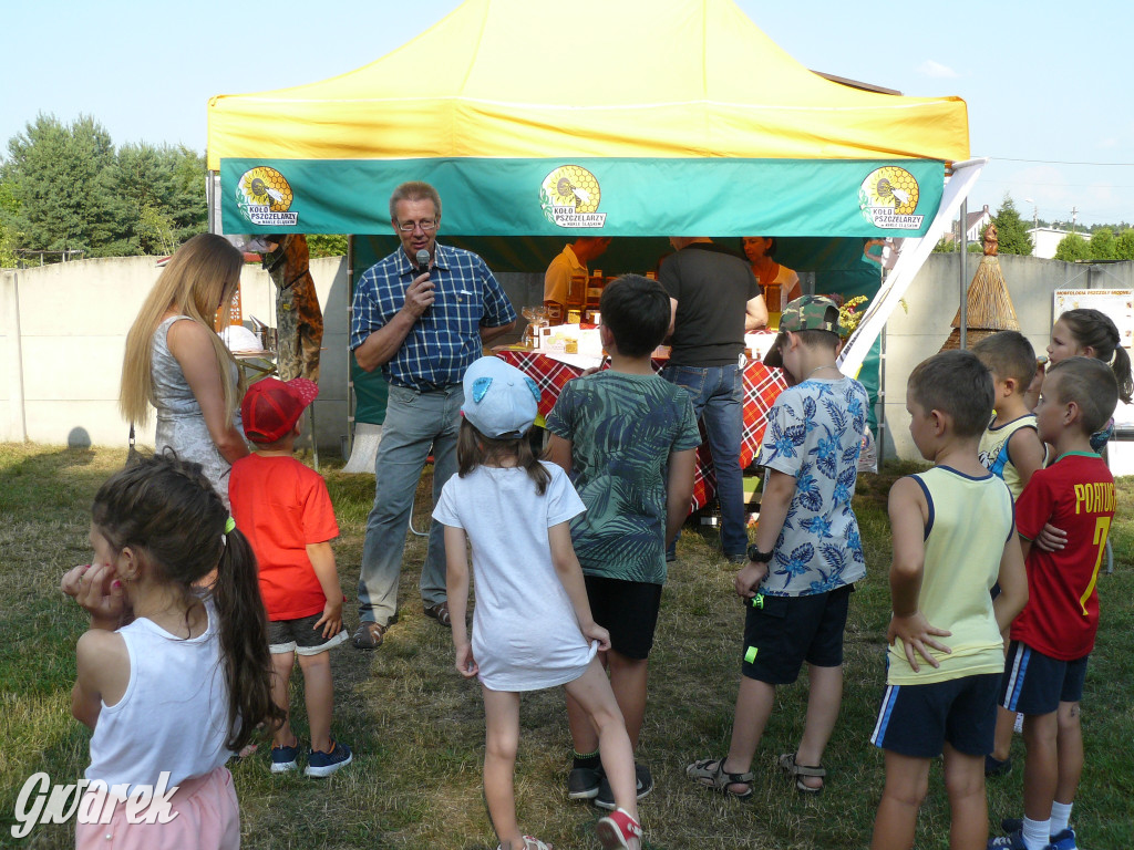Dzień Pszczoły w Bibieli