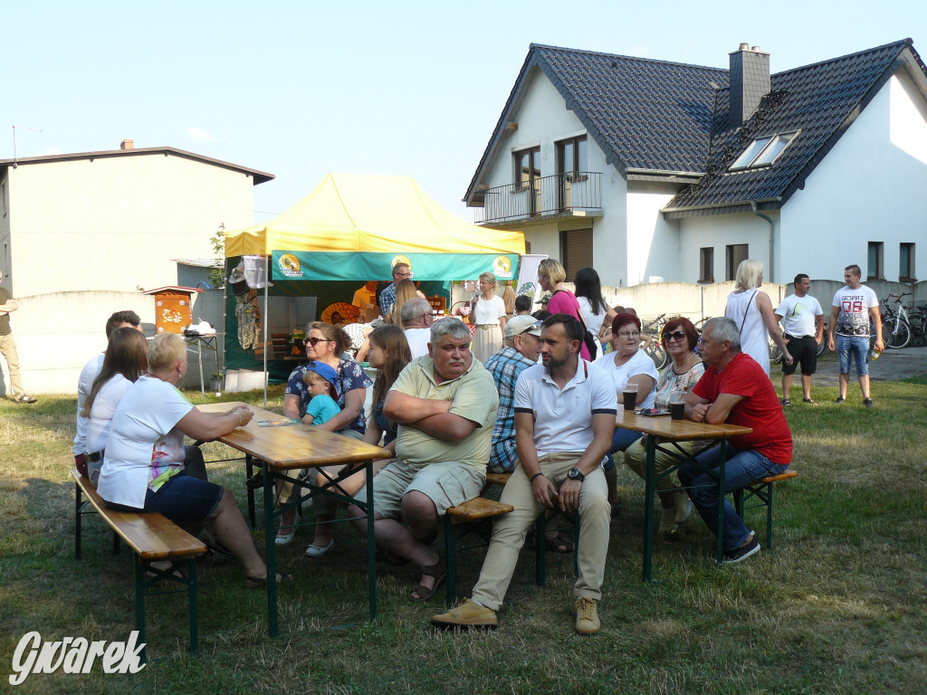 Dzień Pszczoły w Bibieli