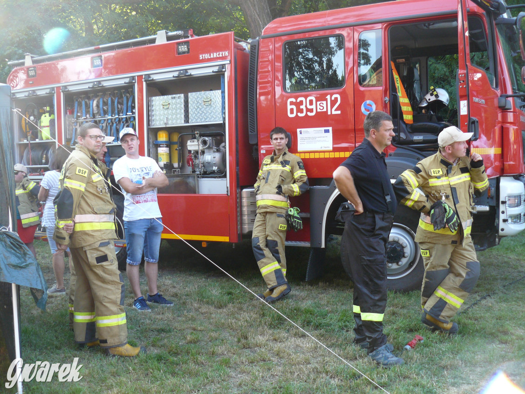 Dzień Pszczoły w Bibieli