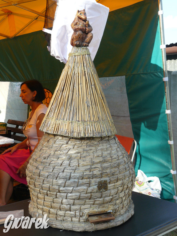 Dzień Pszczoły w Bibieli