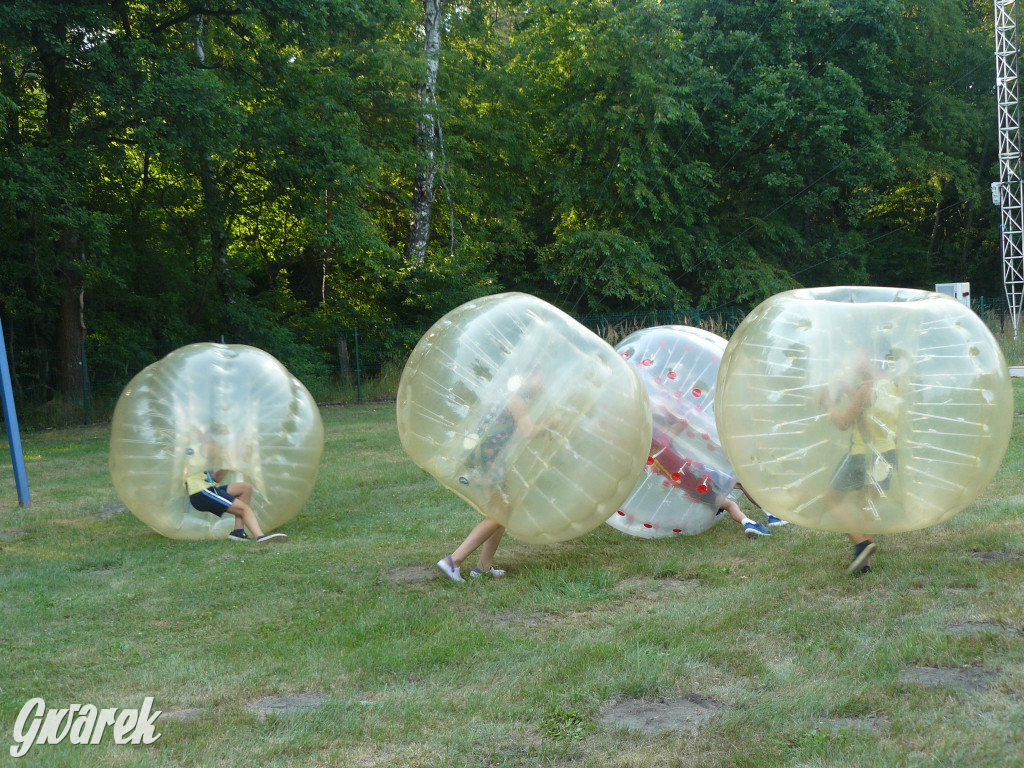 Dzień Pszczoły w Bibieli