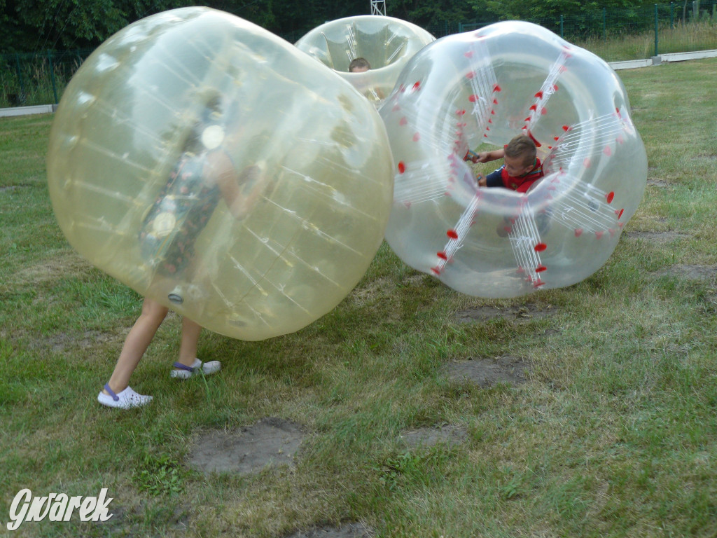 Dzień Pszczoły w Bibieli