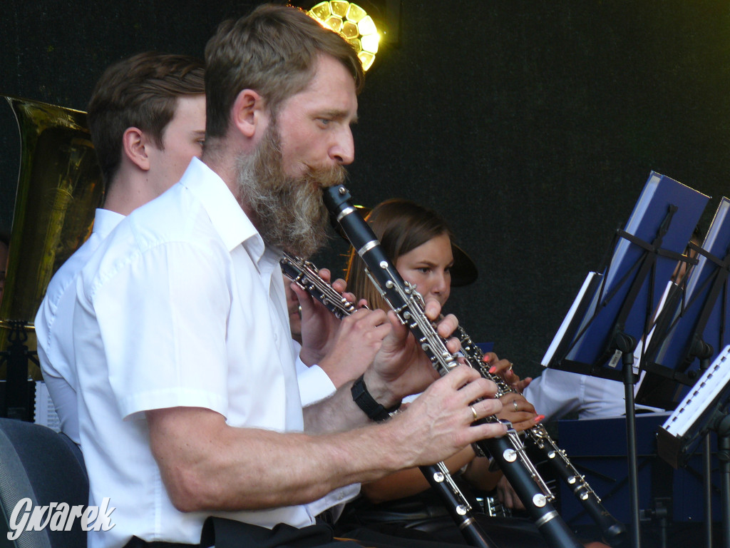 Dzień Pszczoły w Bibieli