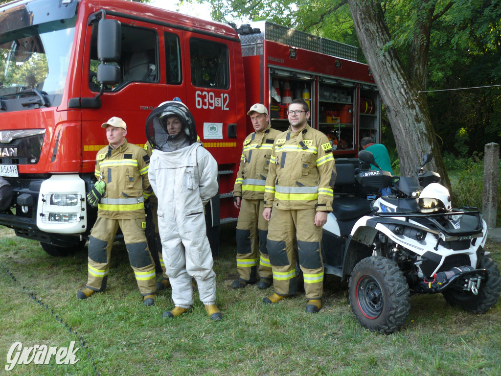 Dzień Pszczoły w Bibieli