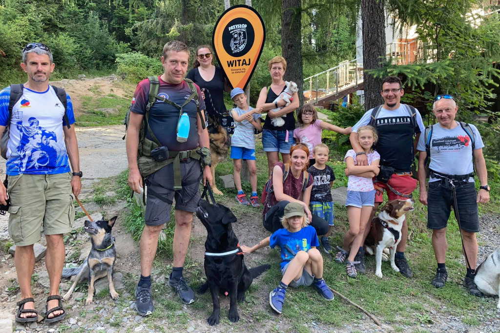 Psy na skałach i wodzie