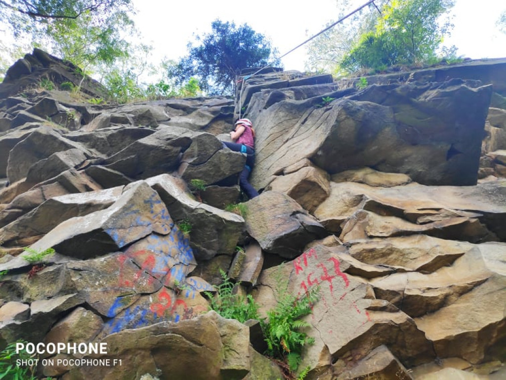Psy na skałach i wodzie