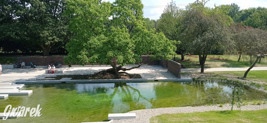 Gdzie na weekend? Może ogród japoński